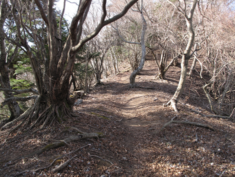 20190108hike (161)